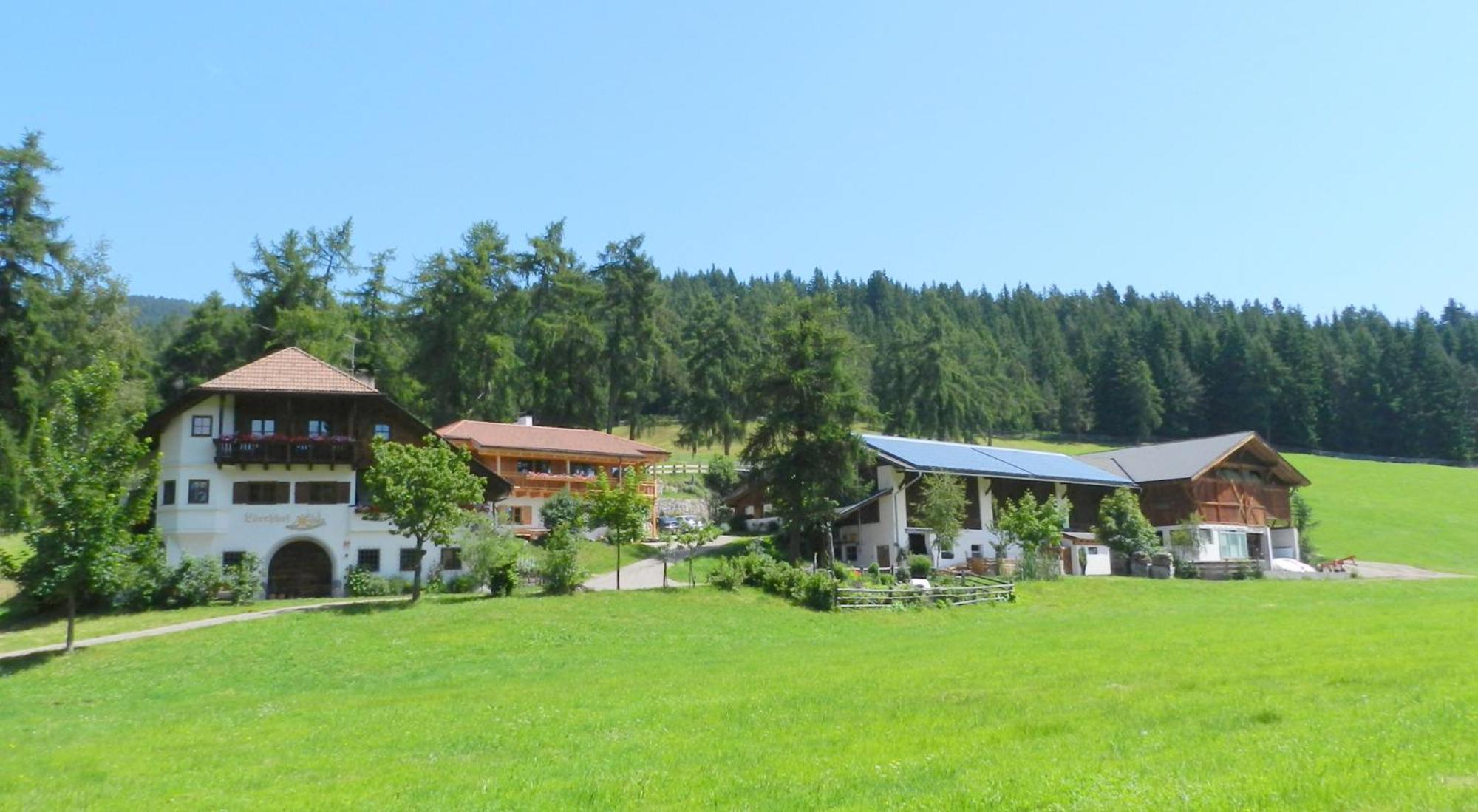 Laerchhof Villa Collalbo Luaran gambar