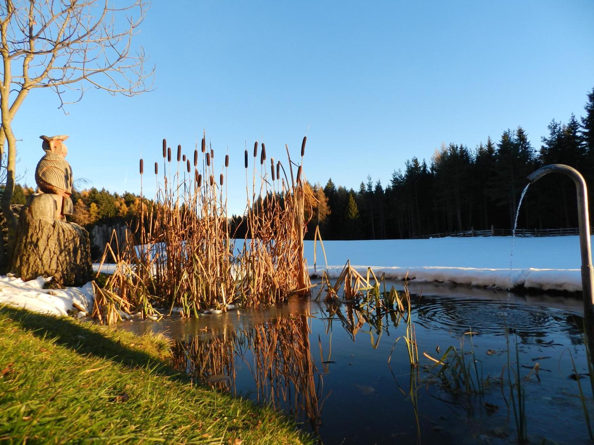 Laerchhof Villa Collalbo Luaran gambar