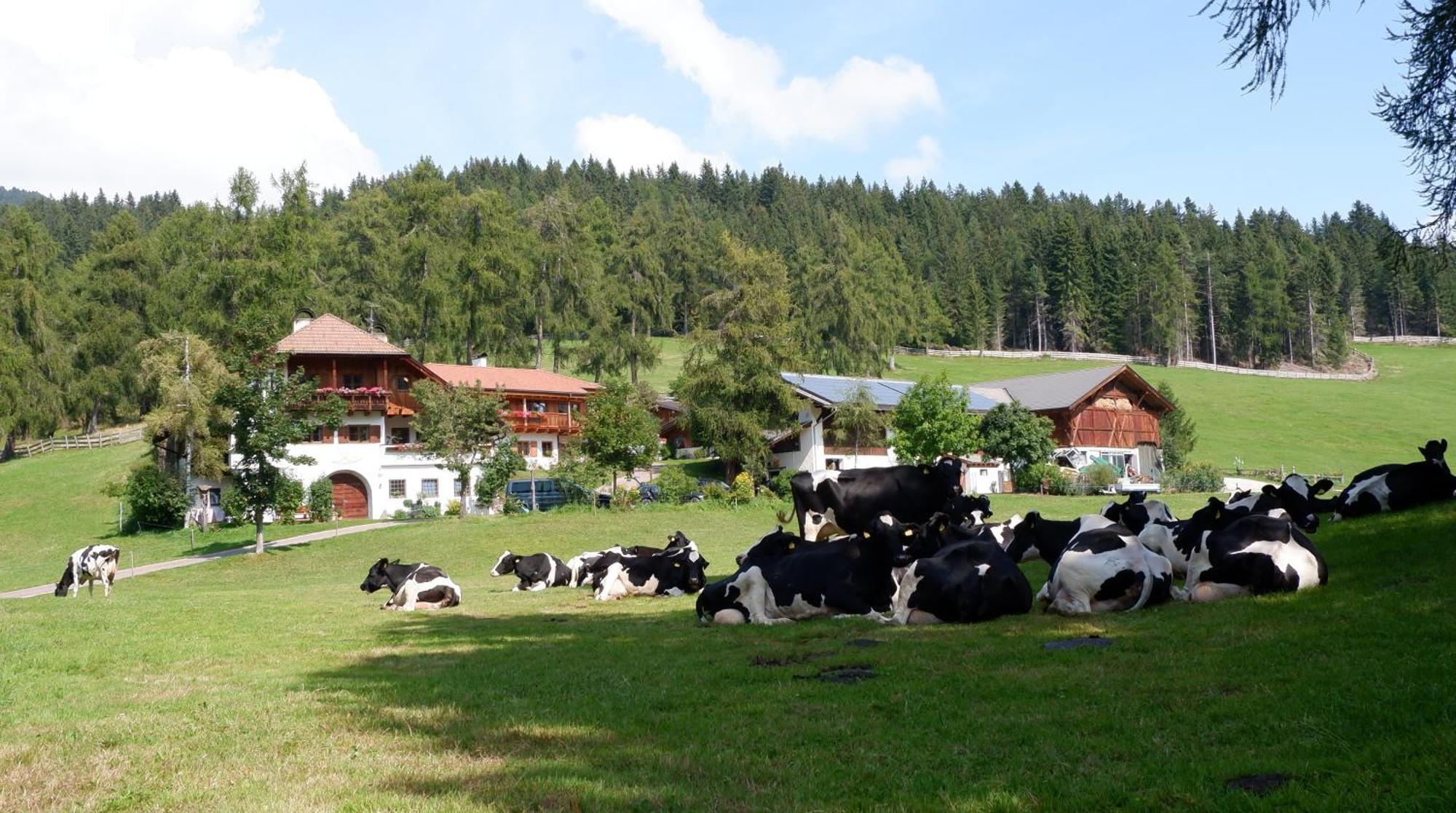 Laerchhof Villa Collalbo Luaran gambar